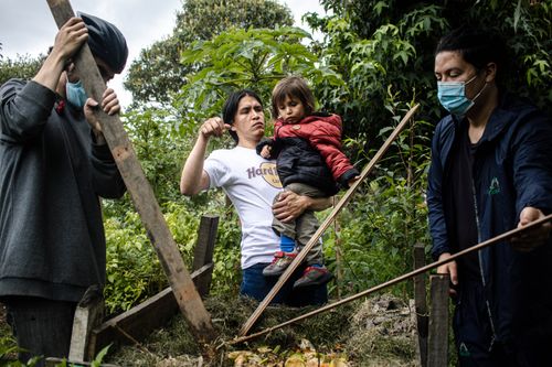 Free Family tending a garden in Bogotá, Colombia, showcasing teamwork and sustainability. Stock Photo