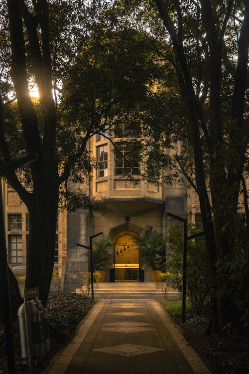 Foto profissional grátis de árvores, caminho, casa