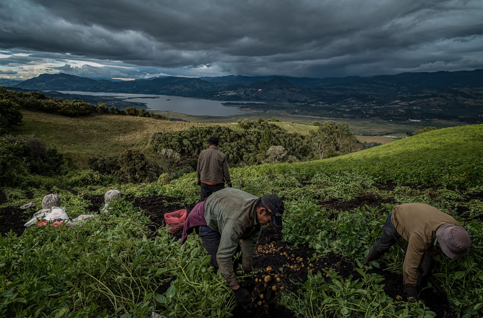 A group of farmers harvesting crops on a hillside with a scenic countryside view under a dramatic sky.