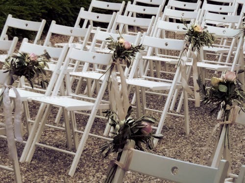 Free stock photo of chairs, flower bouquets Stock Photo