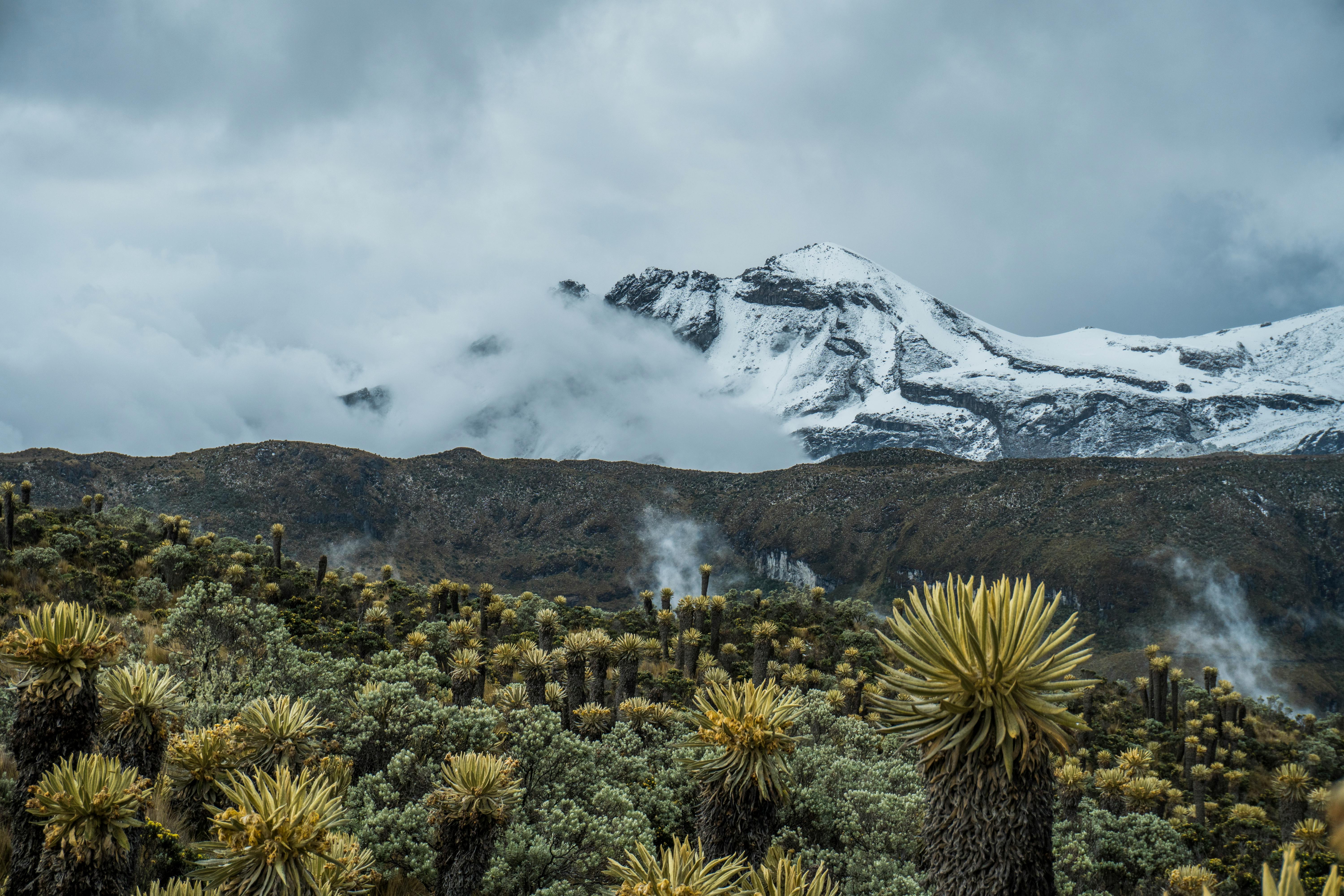 Snowy peaks and lush vegetation in Colombia's Sierra Nevada del Cocuy.