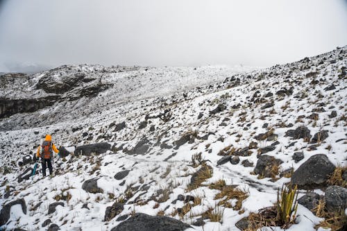 A Person Hiking on a Snow Covered Rocky Mountain