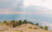 美丽的山景中，树木和阳光照亮了天空