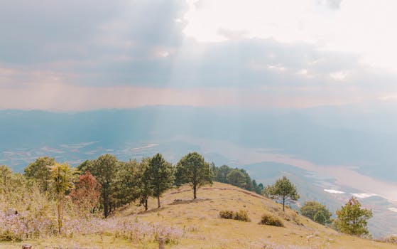 美丽的山景中，树木和阳光照亮了天空