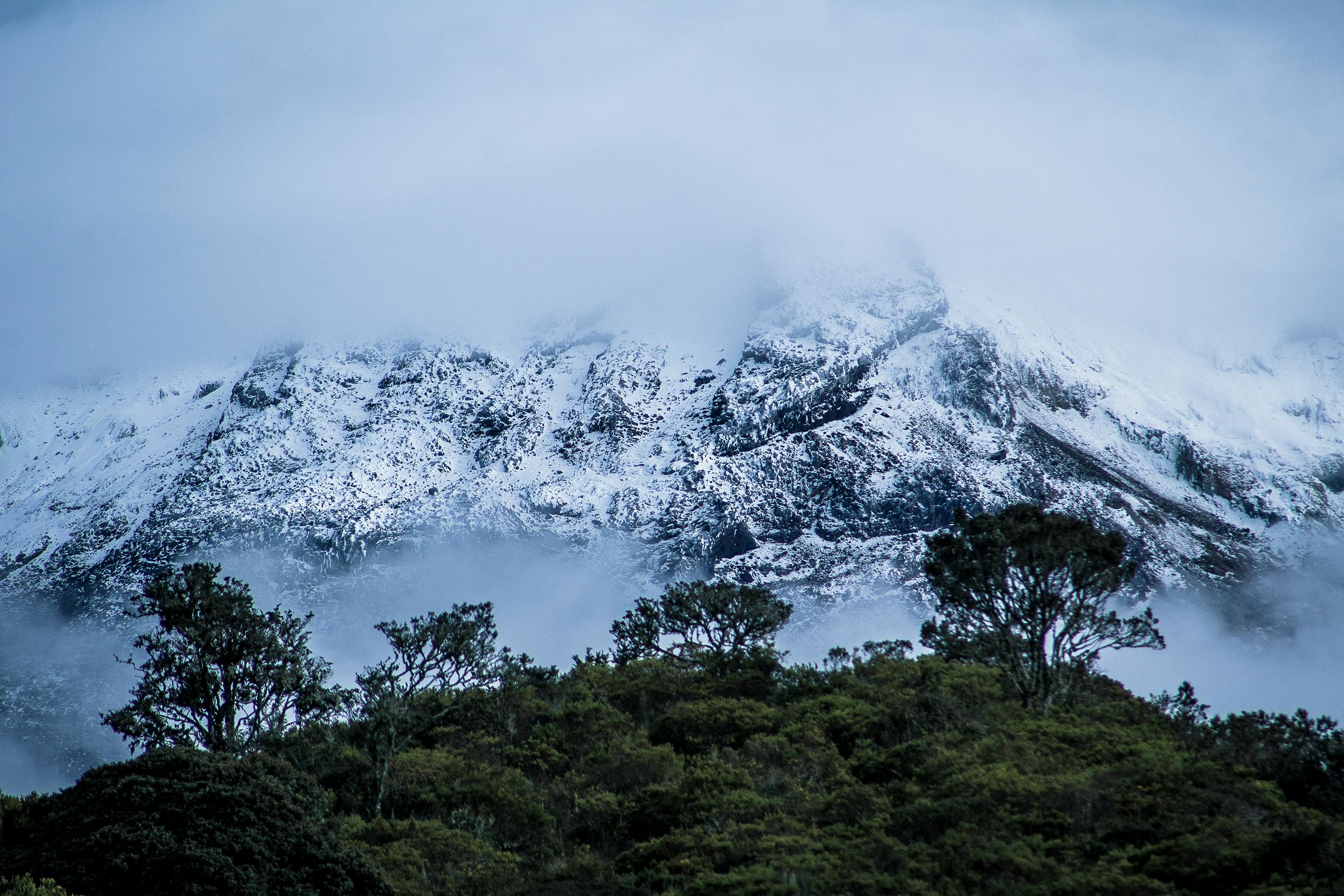 Nicolas Torres Fotografía