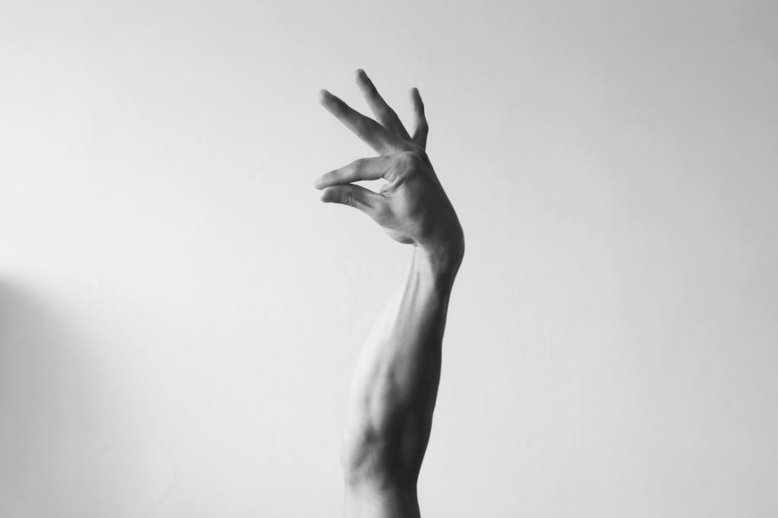 Immagine gratuita di avvicinamento, gesto della mano, mano