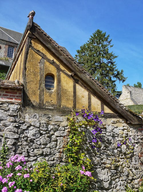 Ivy on Wall under Ancient Building