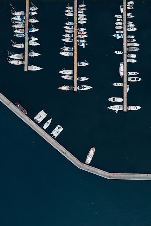 Free Yachts in Harbor in Sea Stock Photo