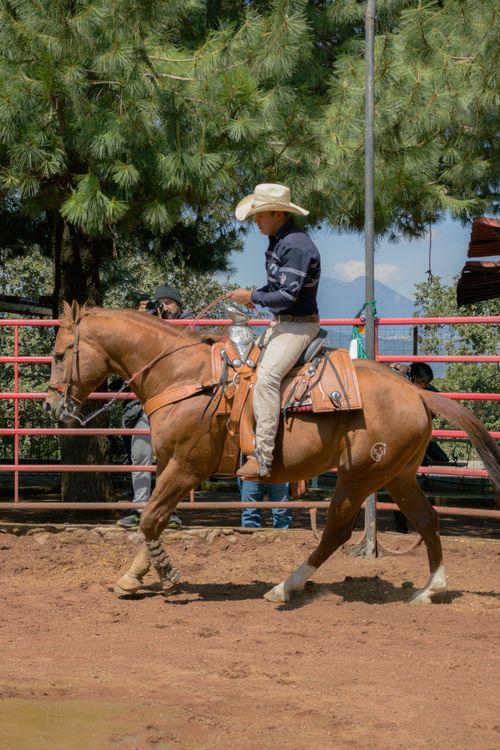Operate Man Riding Photo of Man Riding a Horse · Free Stock Photo