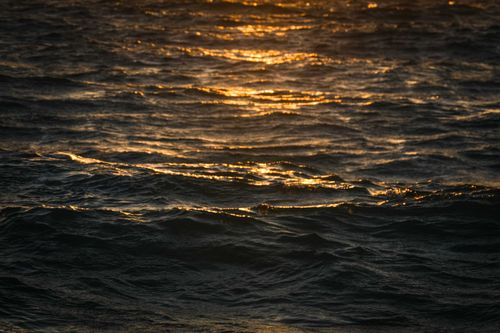 Free Peaceful view of ocean waves illuminated by golden sunset light. Stock Photo