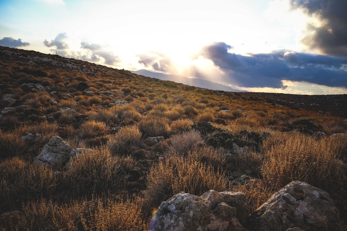 Free Rock Boulders on the Hillside Stock Photo