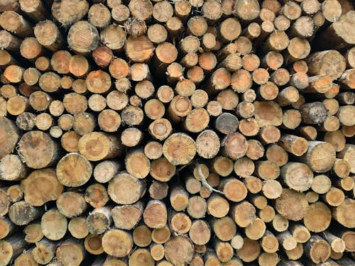 Gratis Immagine gratuita di legname, legno, pila Foto a disposizione