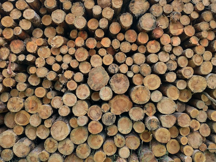 A Pile Of Brown Wood Logs