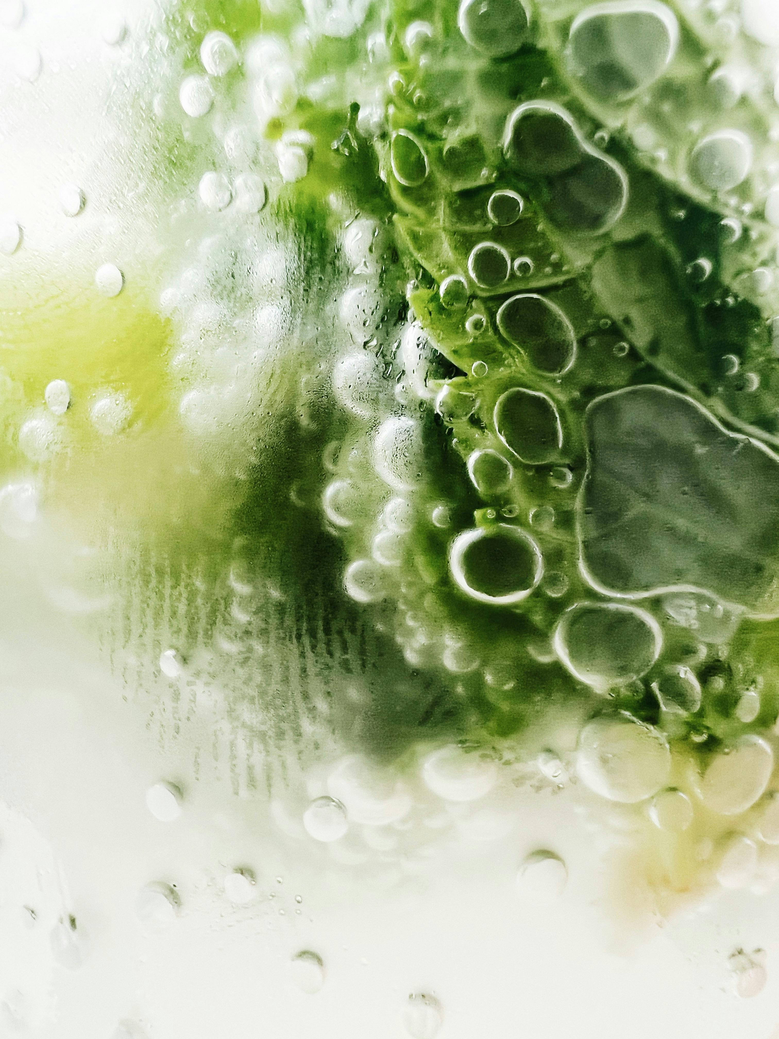 A macro shot capturing the intricate details of frozen water bubbles on a green leaf.