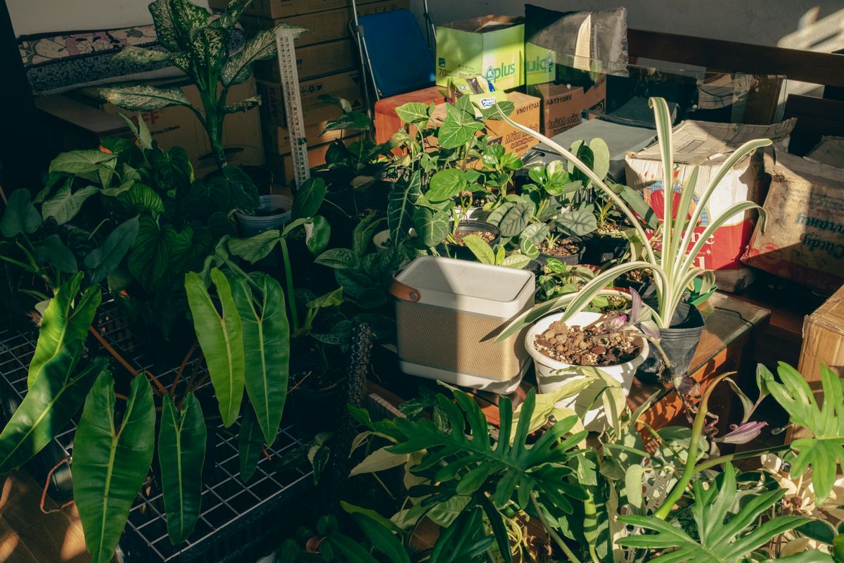Le lombricomposteur en appartement - Quel lombricomposteur choisir pour un appartement ?