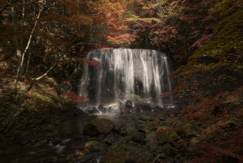 Mizu Walk Miharu: 700 Corações, Vistas Deslumbrantes e o Encanto Milenar da Taki Sakura