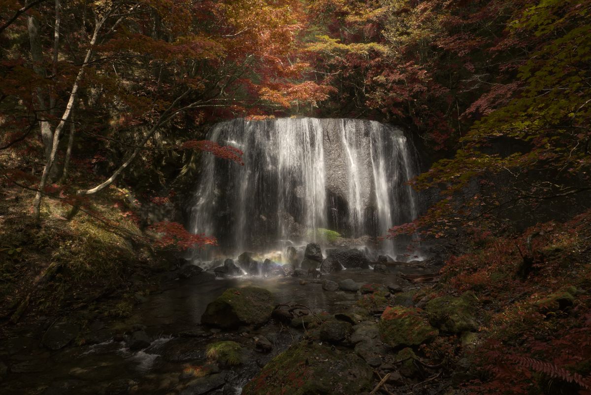 Misty forested valley with a waterfall and vibrant green Japanese mountain scenery