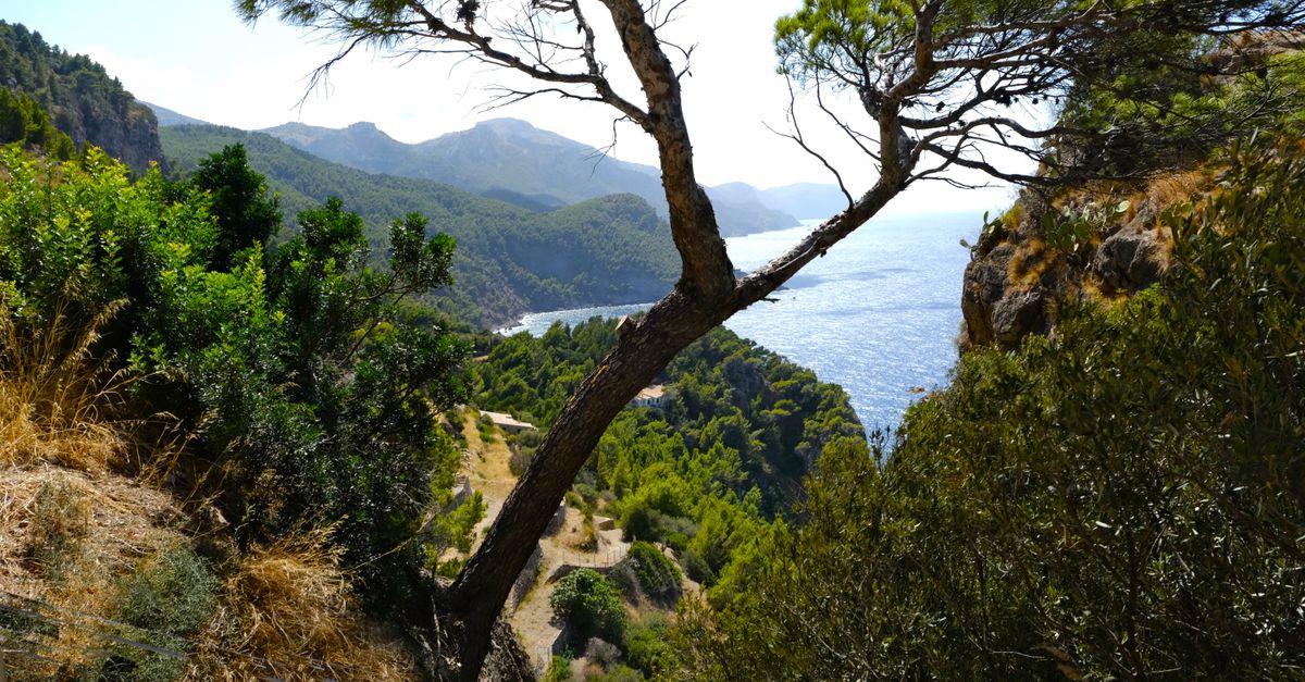 Palma de Mallorca