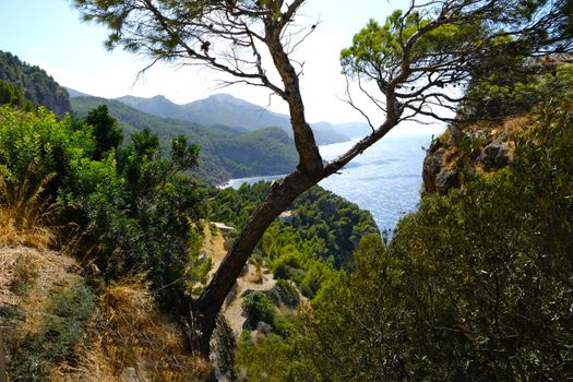 Deià writers' village afternoon — Mallorca