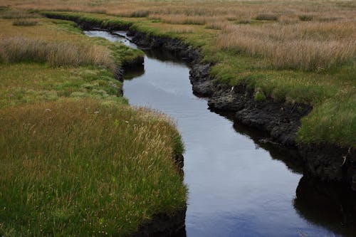 A Body of Water Between Grassland
