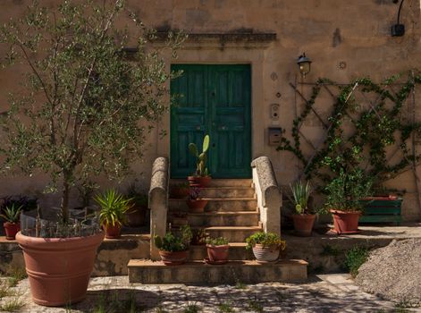 Rustic Mediterranean entrance with green door, stone steps, and vibrant potted plants.
