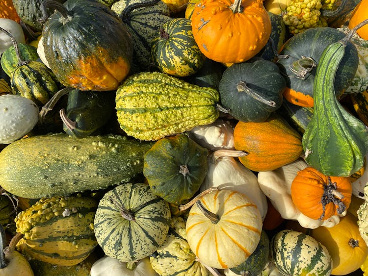 A Pile Of Orange And Green Pumpkin