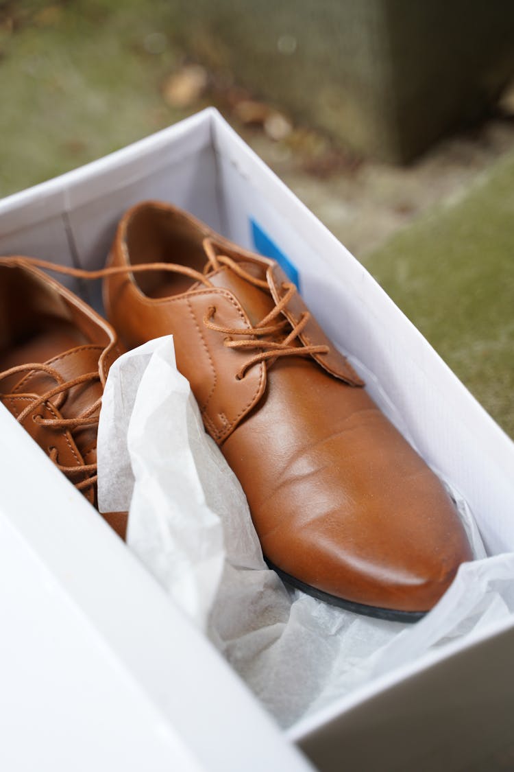 Brown Leather Shoes In A Box 