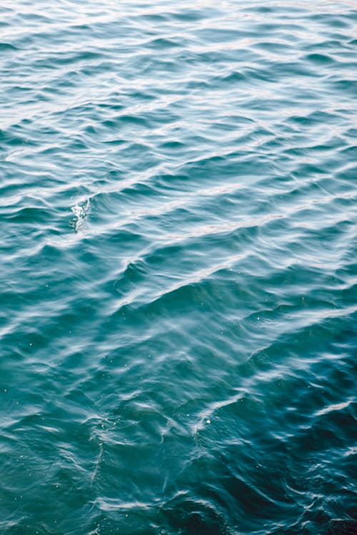 A Blue Body of Water with Small Waves