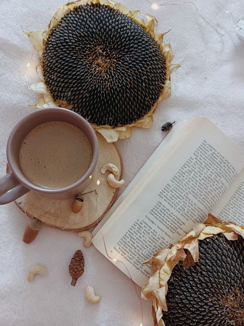Free Warm and cozy scene with coffee, an open book, and sunflower heads on fabric. Stock Photo