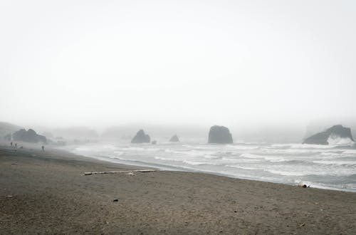 Gratis lagerfoto af bandon oregon, kyst, oregon