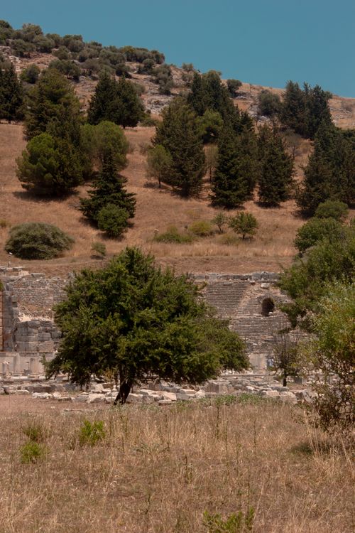 Free Explore the serene landscape of ruins surrounded by trees in İzmir, Turkey. Stock Photo