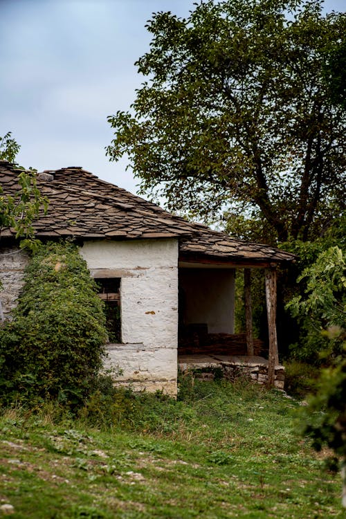 ağaçlar, ahır, bina içeren Ücretsiz stok fotoğraf