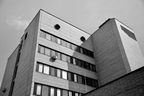 Monochrome Photograph of a Building with Windows