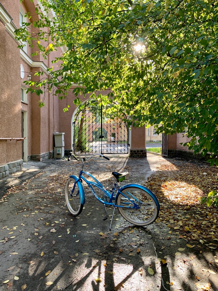 A Blue Bike Parked On The Street Near The Green Tree