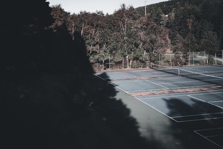 Photo Of Trees Near Tennis Courts