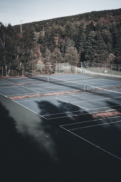 Trees Near Tennis Courts · Free Stock Photo Trees Near Tennis Courts · Free Stock Photo