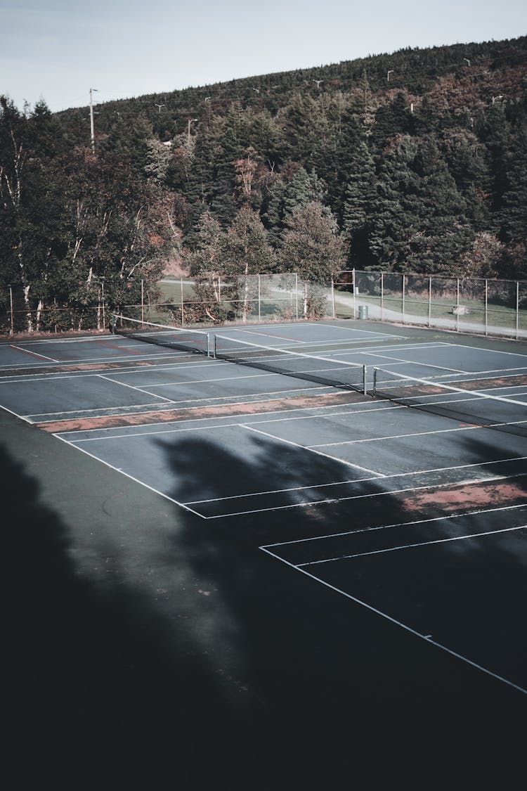 Trees Near Tennis Courts