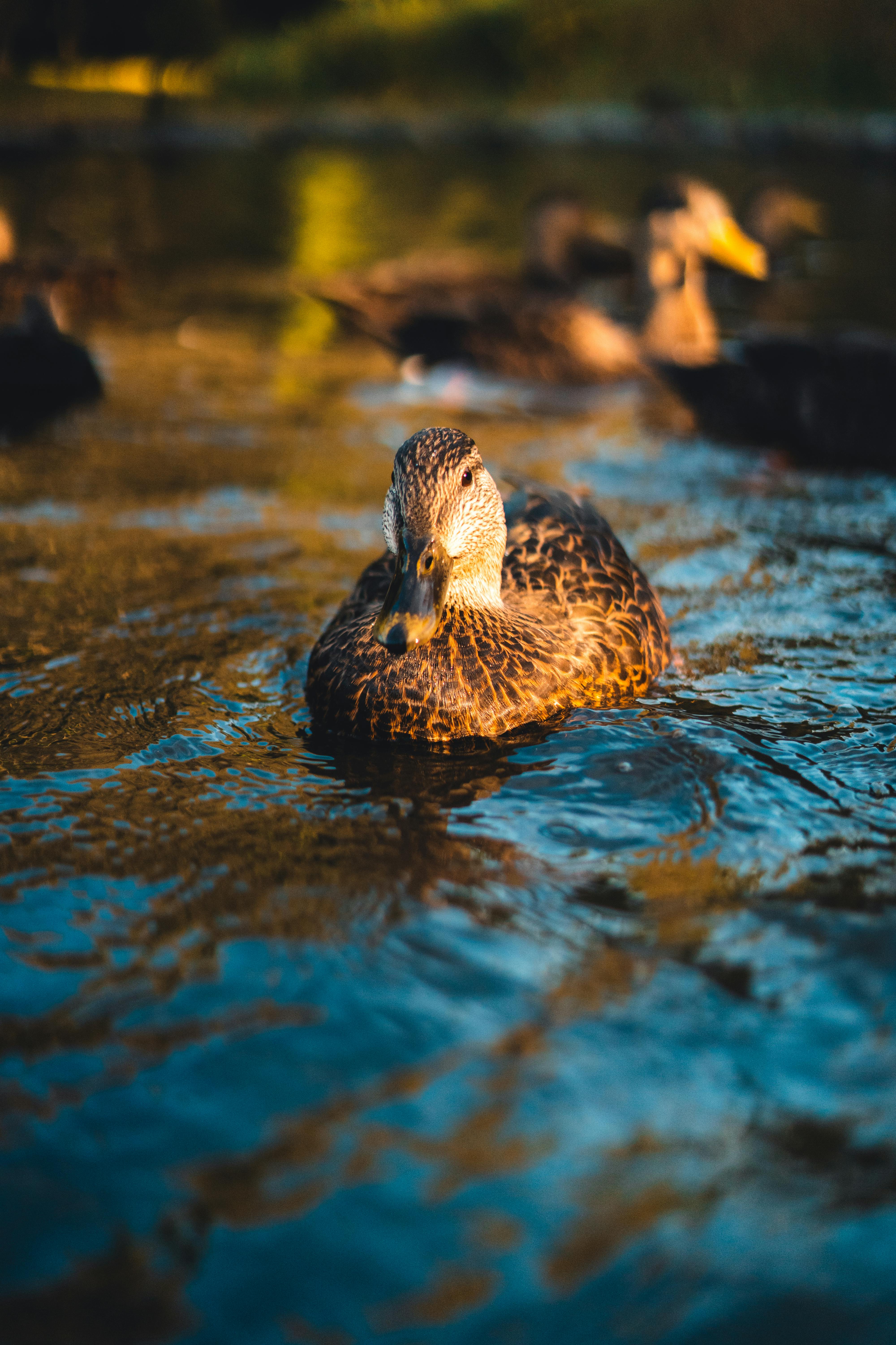 Who pays $100 an hour?