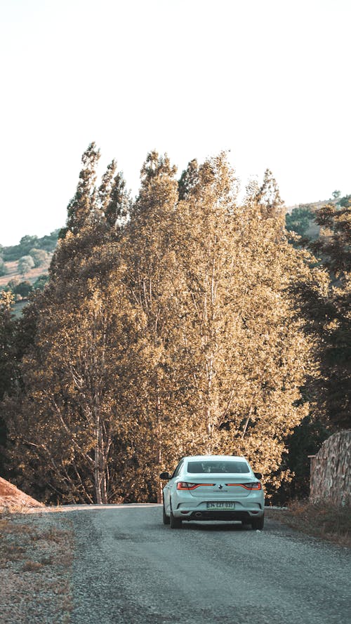 Foto d'estoc gratuïta de camí de carro, cotxe blanc, tir vertical