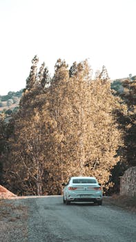 A white car travels a scenic dirt road surrounded by trees in İstanbul, Türkiye.