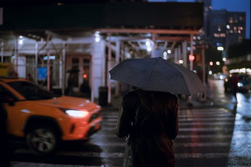 Person in Black Coat Holding Umbrella