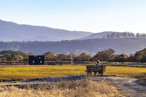 A Person Sitting on a Bench Enjoying the Mountain View