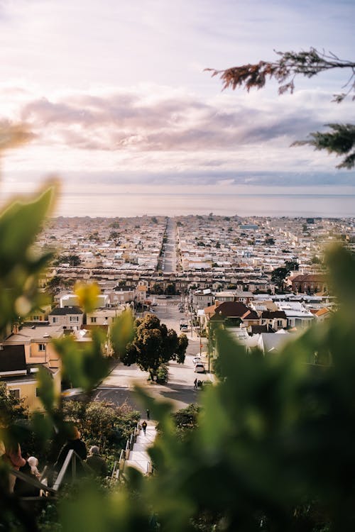 View of Suburbs