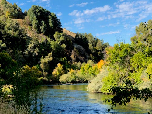 Gratis stockfoto met stromende rivier