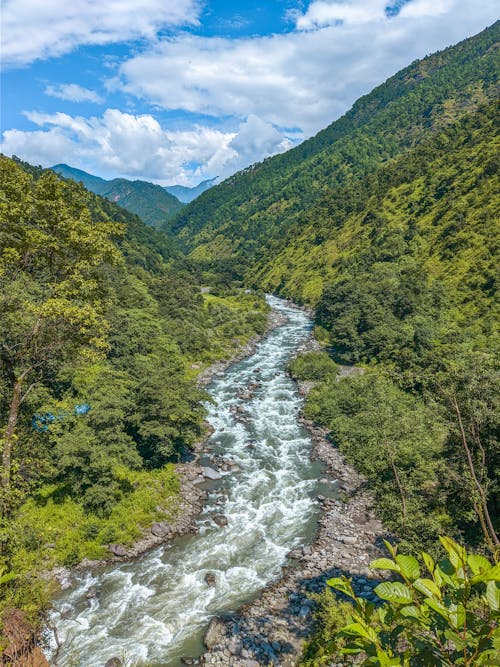 강, 산, 수직 쐈어의 무료 스톡 사진