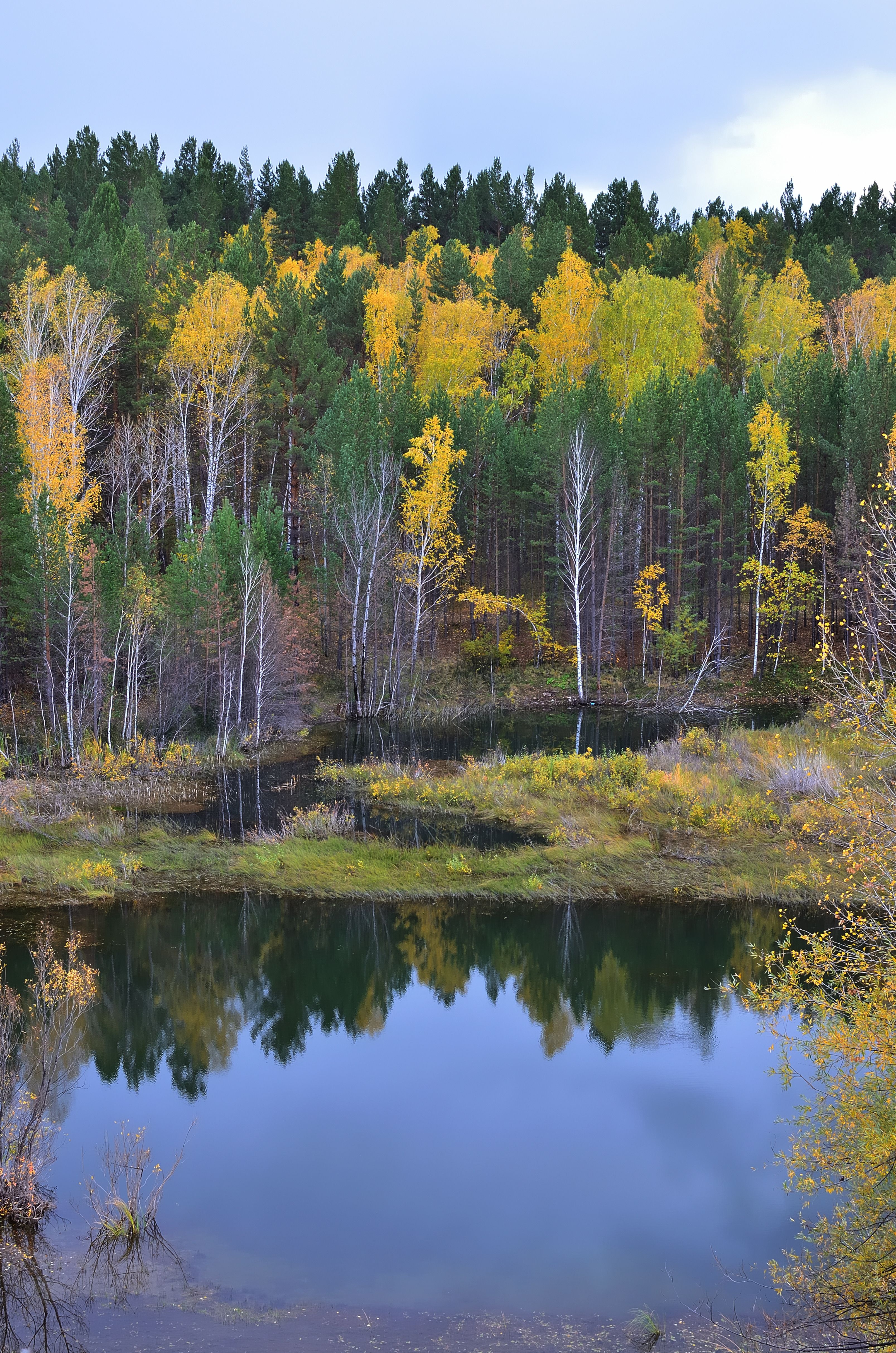 Yellow and Green Trees Beside the Lake · Free Stock Photo