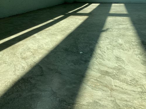 Free Sunlight Stock Photo