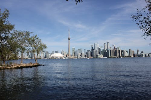 Free A View of the Toronto Skyline Stock Photo