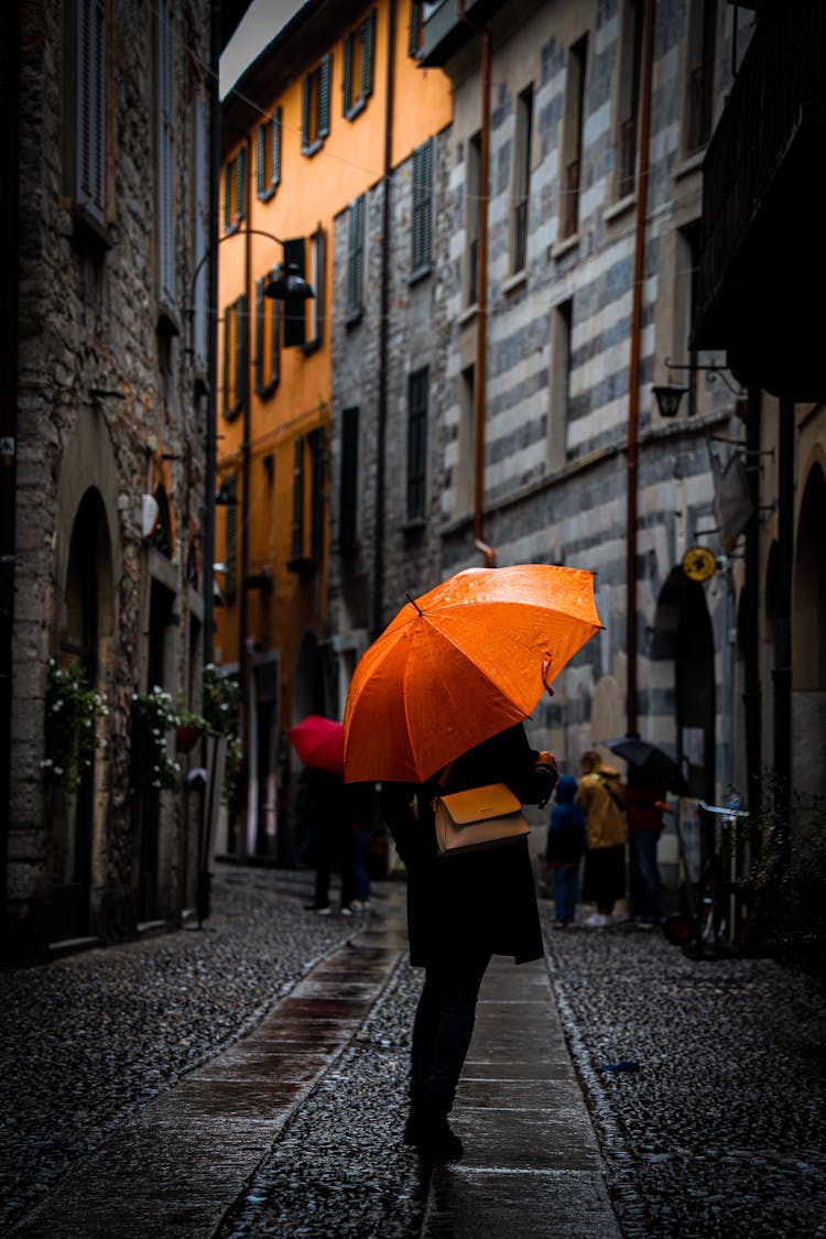 Person In Black Coat Holding An Umbrella On A Street