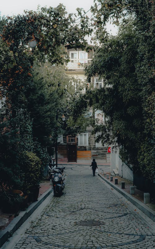 Person in Black Jacket Walking on the Street